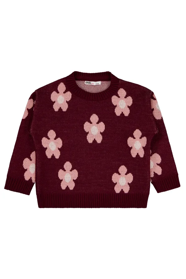 Girl's Sweater 2-5 Years Old Burgundy - Package