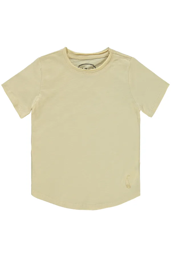 T-shirt garçon 2-5 ans couleur pierre - Lot