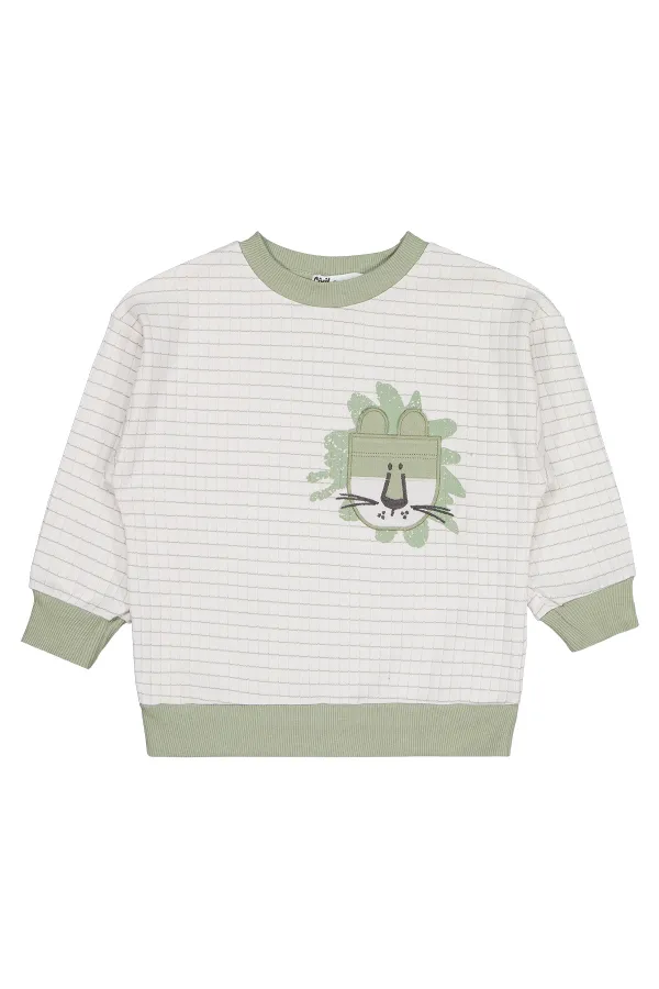 Erkek Çocuk Sweatshirt 2-5 Yaş Yeşil - Paket