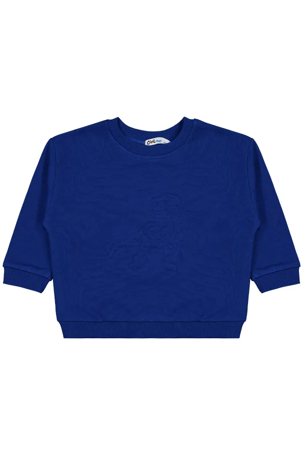 Erkek Çocuk Sweatshirt 2-5 Yaş Saks - Paket