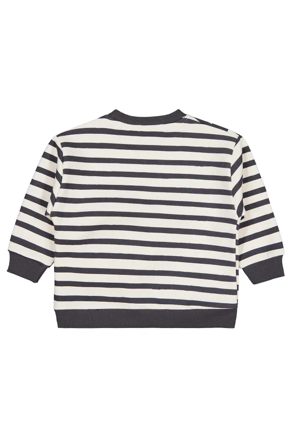 Erkek Çocuk Sweatshirt 2-5 Yaş Antrasit - Paket