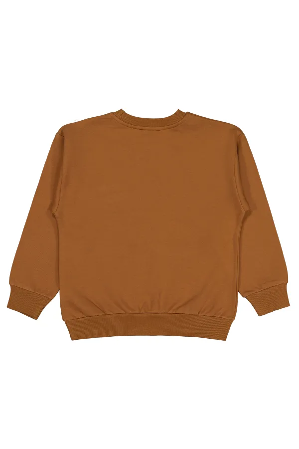 Sweat-shirt garçon marron 6-9 ans - Emballage