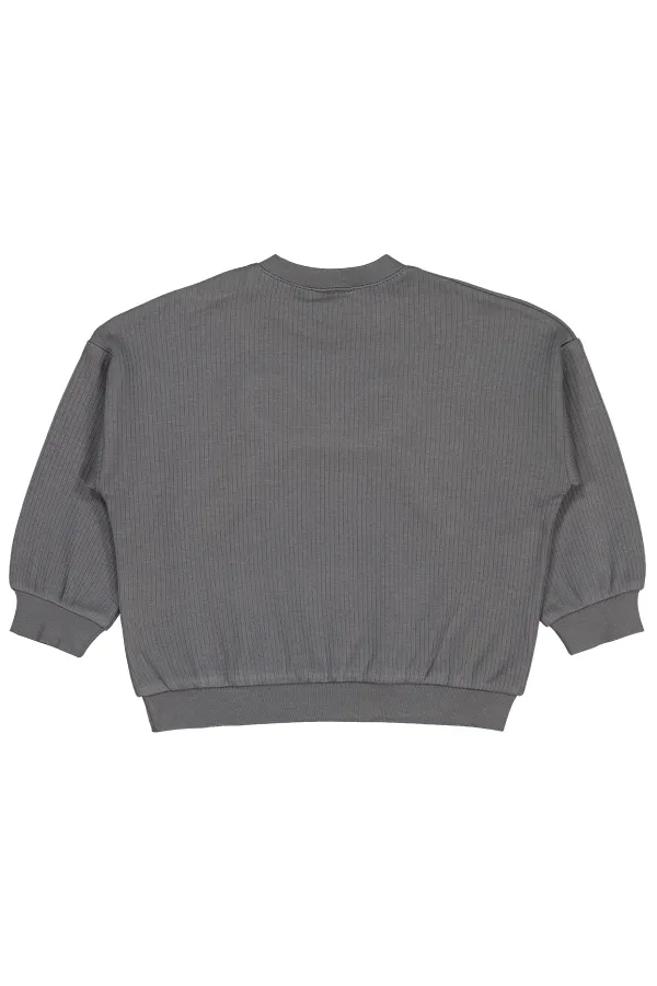 Bebek Sweatshirt 0-24 Ay Koyu Gri - Paket