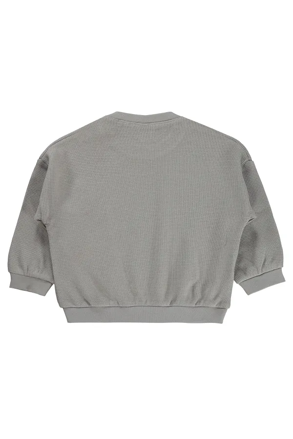 Sweat-shirt bébé 0-24 mois gris clair - Lot