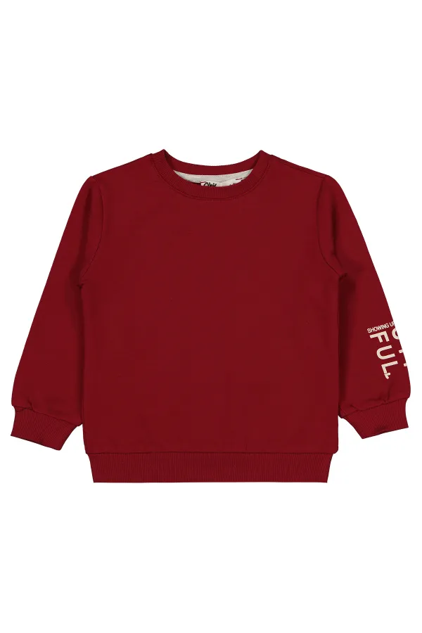 Girl Sweatshirt 2-5 Years Old Dark Burgundy - Package