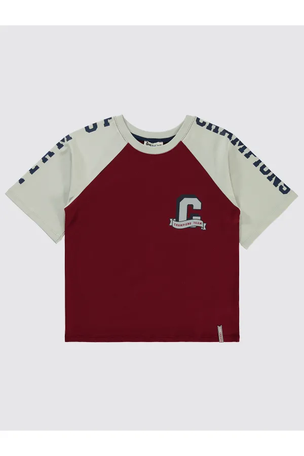 Erkek Çocuk Tişört 6-9 Yaş Bordo - Paket