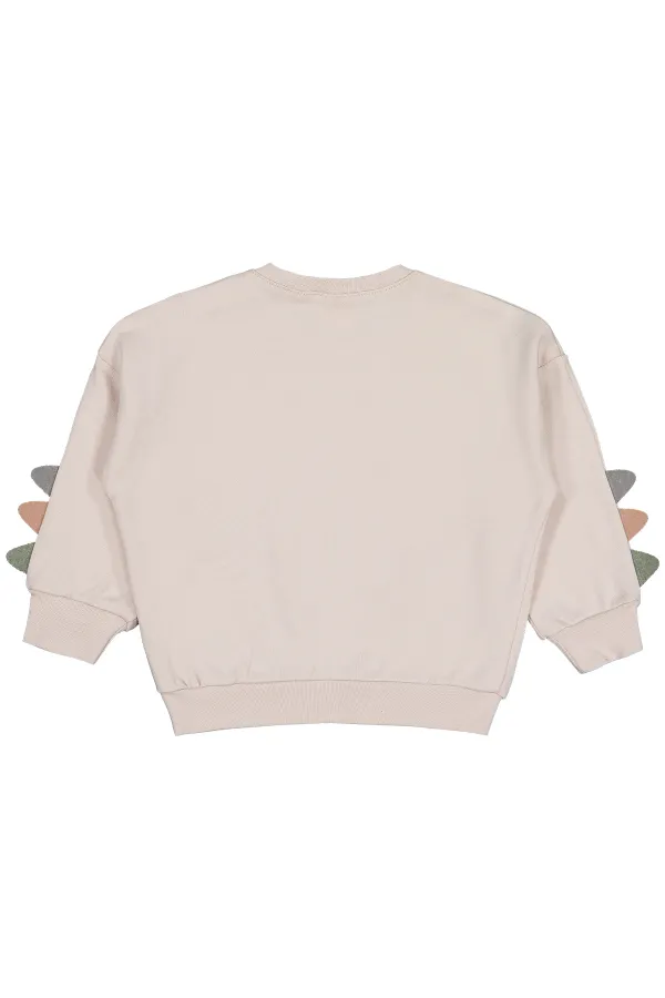 Bebek Sweatshirt 0-24 Ay Taş Rengi - Paket