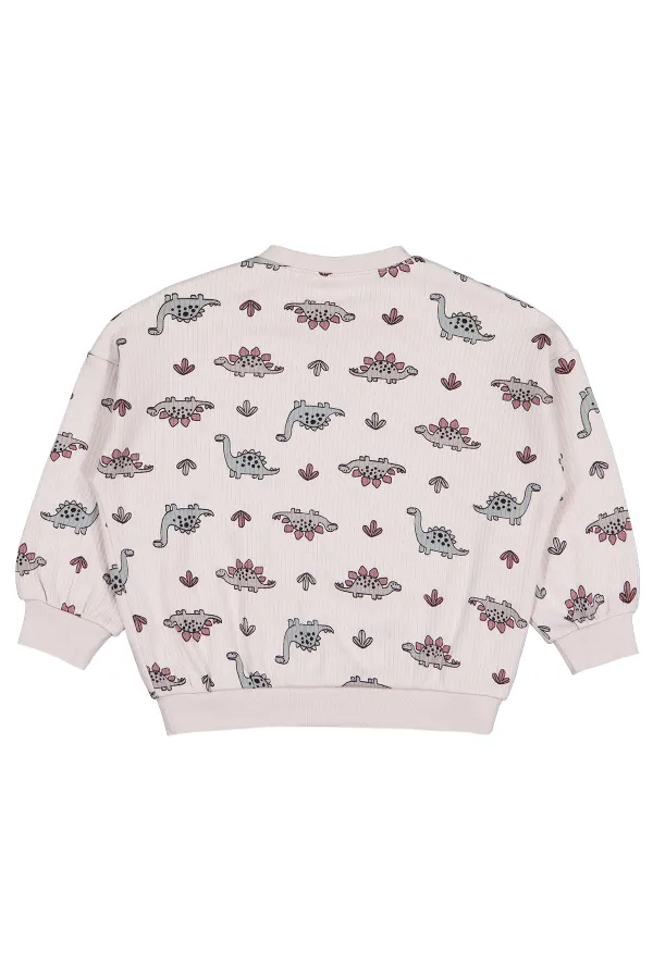 Bebek Sweatshirt 0-24 Ay Taş Rengi - Paket