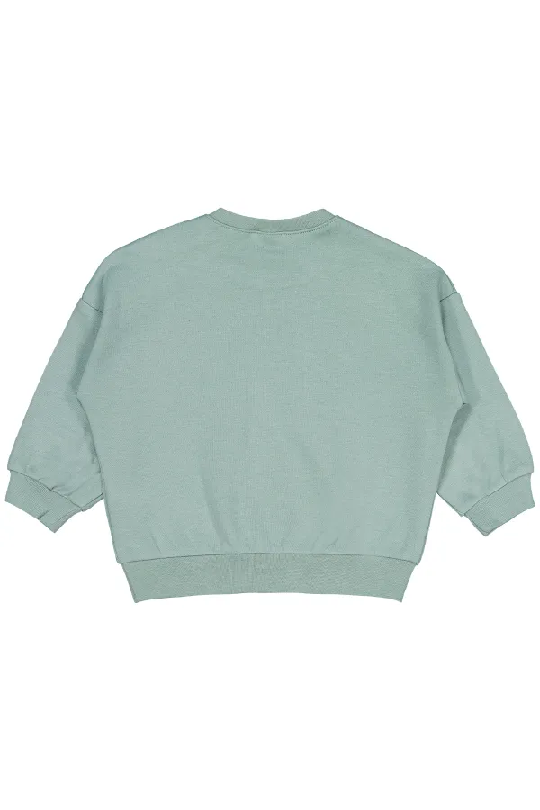 Bebek Sweatshirt 0-24 Ay Çağla Yeşili - Paket