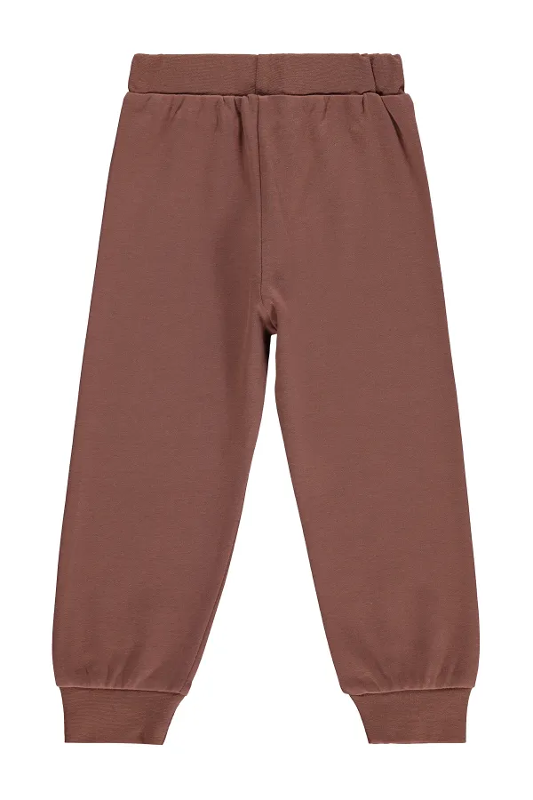 Boys' Sweatpants, 2-5 Years Old, Light Brown - Pack