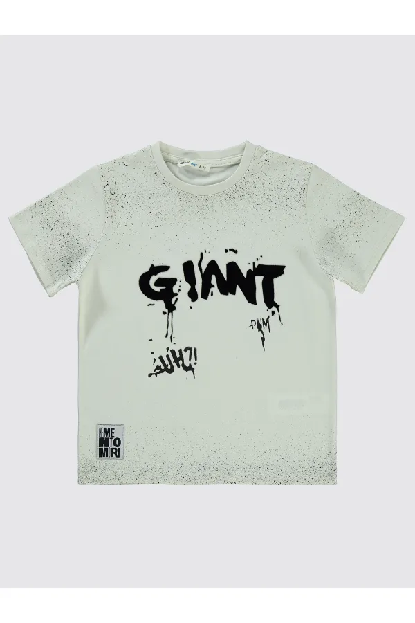 Boys T-Shirt 6-9 Years Old Light Gray - Pack