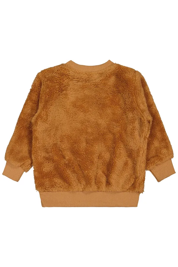 Boys Sweatshirt 2-5 Years Old Cinnamon - Package
