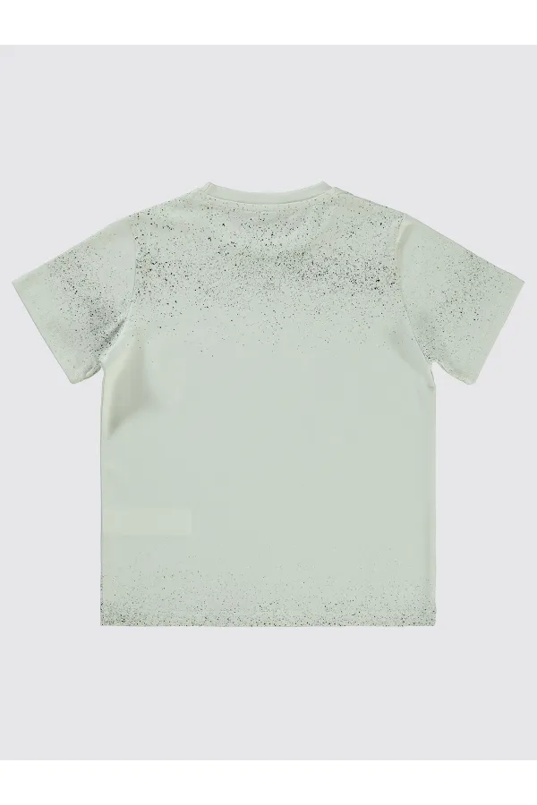 Boys T-Shirt 6-9 Years Old Light Gray - Pack