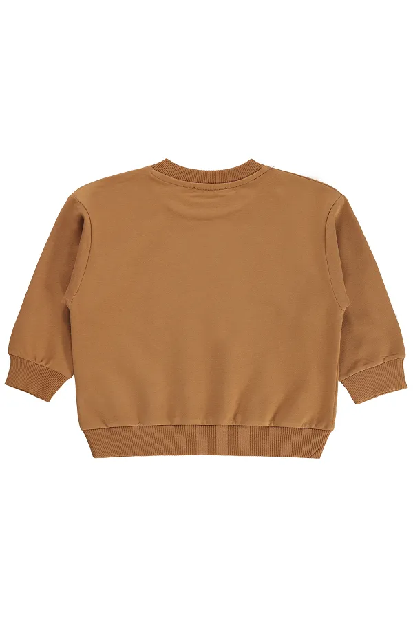 Erkek Çocuk Sweatshirt 2-5 Yaş Koyu Kahve - Paket
