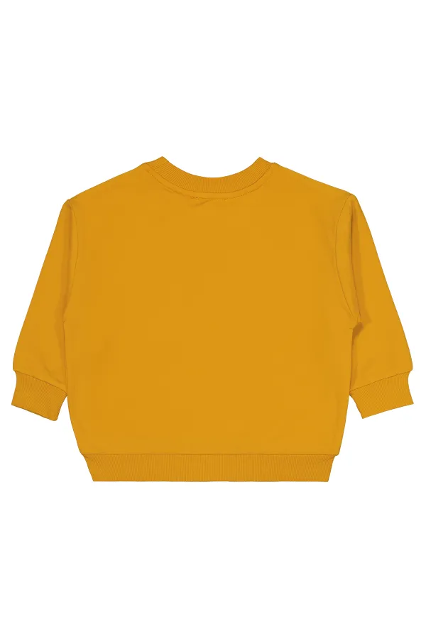 Boy Sweatshirt 2-5 Years Mustard - Pack
