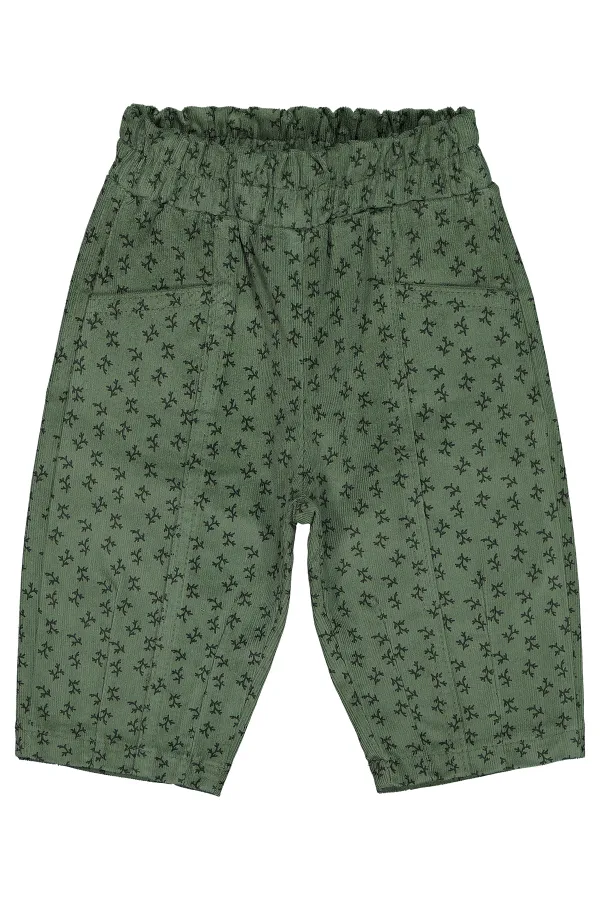 Culottes bébé 0-24 mois kaki - Lot