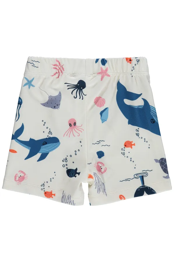 Baby Swimsuit 0-24 Months Stone Color - Pack