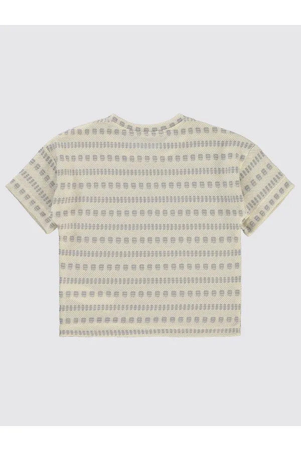 Lot de T-shirts gris pour garçon de 2 à 5 ans