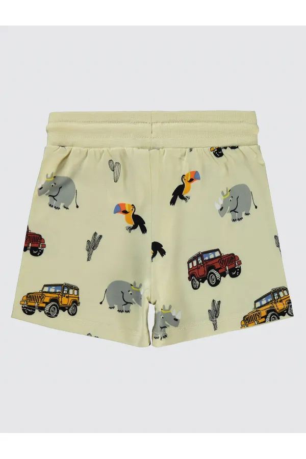 Boy Shorts 2-5 Years Old Stone Color - Package