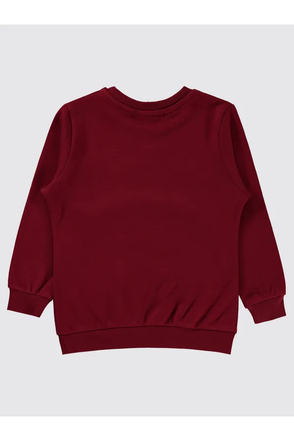 Erkek Çocuk Sweatshirt 2-5 Yaş Bordo - Paket