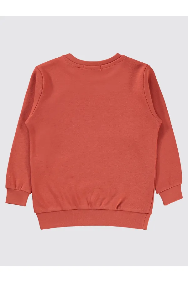 Erkek Çocuk Sweatshirt 2-5 Yaş Kiremit - Paket