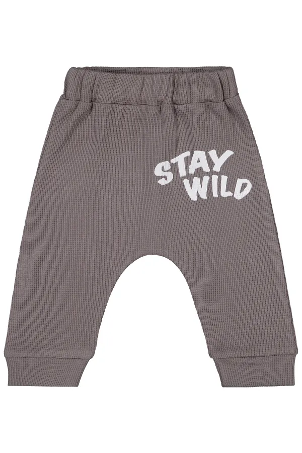 Baby Single Bottom Baby 0-24 Months Smoke Grey - Pack