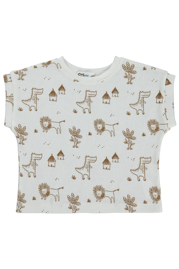 Boys' T-Shirt, Ages 2-5, Brown - Pack