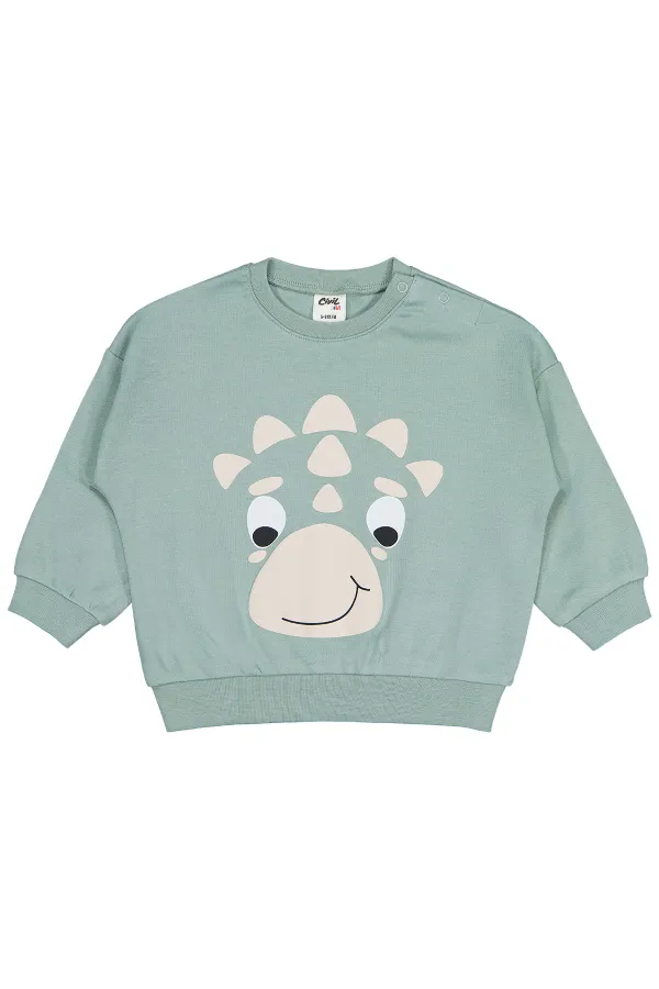Bebek Sweatshirt 0-24 Ay Çağla Yeşili - Paket