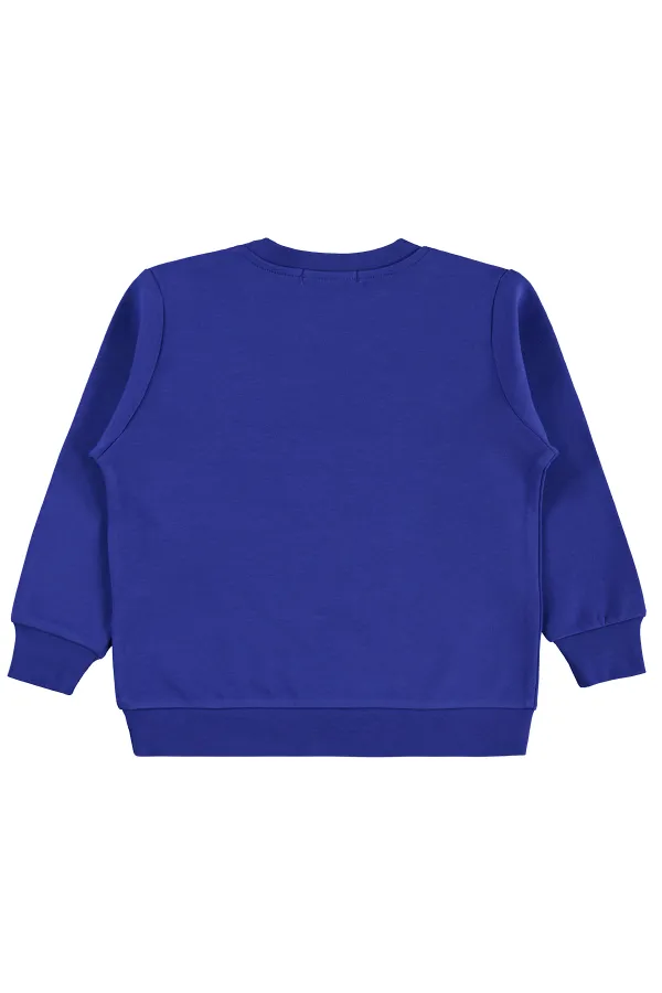 Erkek Çocuk Sweatshirt Km 2-5 Yaş Saks - Paket