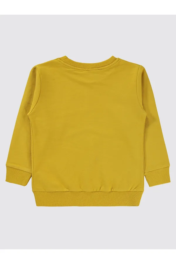 Erkek Çocuk Sweatshirt 2-5 Yaş Hardal - Paket