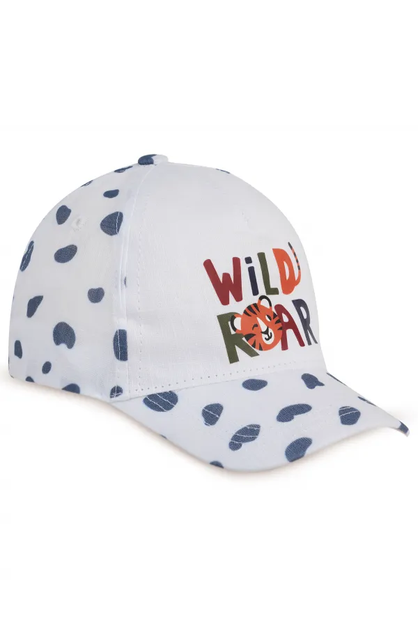 Boys' Hat/Beanie, Ages 2-5, Standard - Package