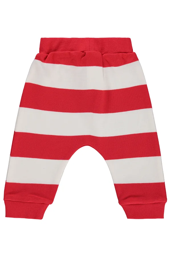 Baby Sweatpants 0-24 Months Red - Pack