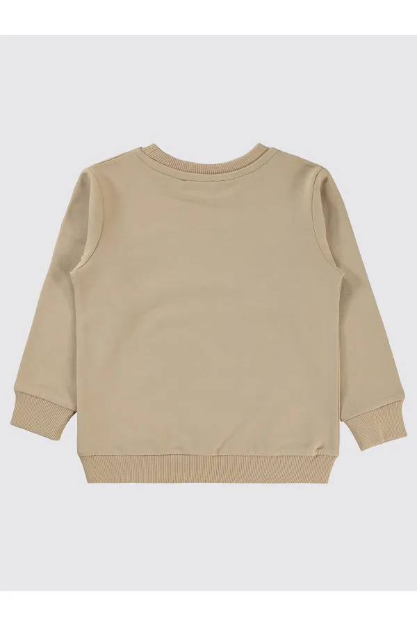 Erkek Çocuk Sweatshirt 2-5 Yaş Taş Rengi - Paket