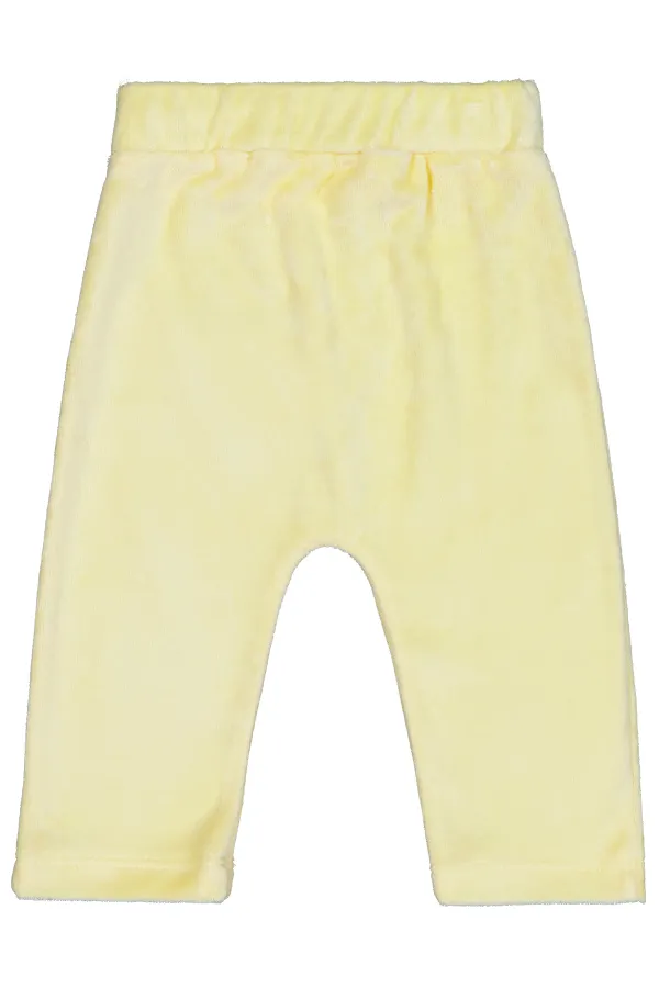 Body bébé 0-24 mois jaune pâle - Emballage