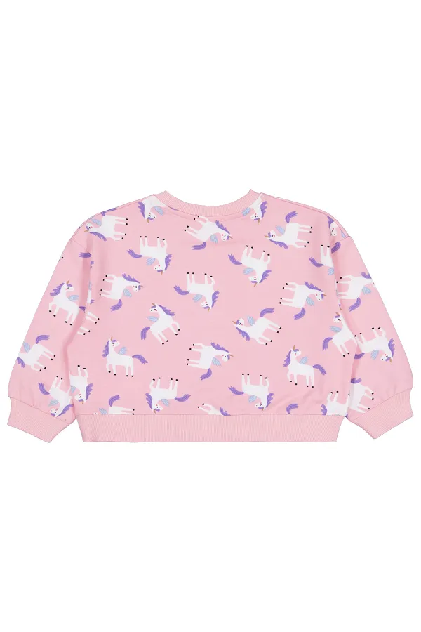 Kız Çocuk Sweatshirt 2-5 Yaş Pembe - Paket