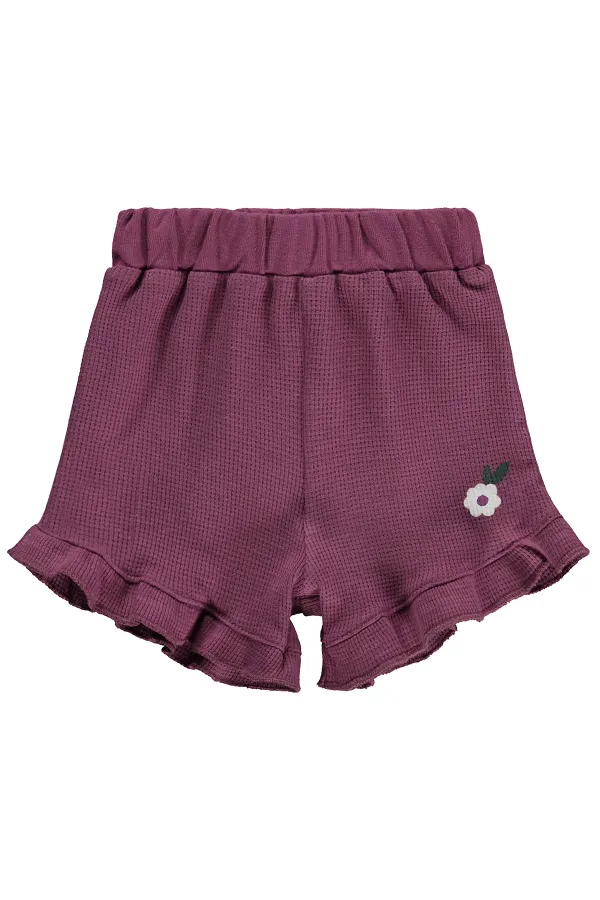 Bebek Şort 0-24 Ay Mürdüm - Paket