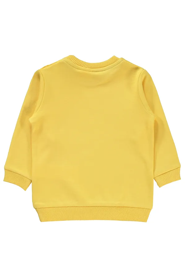 Bebek Sweatshirt 0-24 Ay Hardal - Paket
