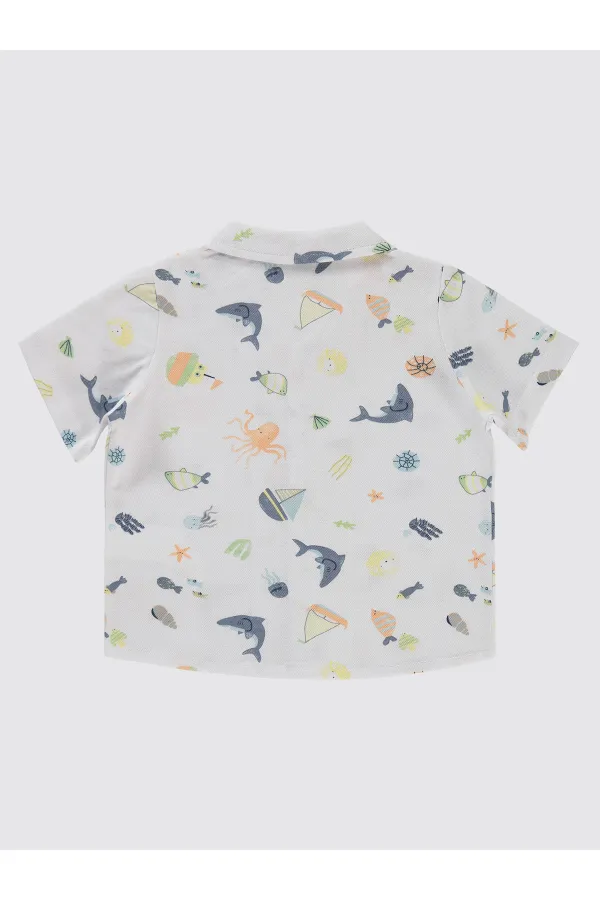 Lot de t-shirts blancs pour garçon de 2 à 5 ans