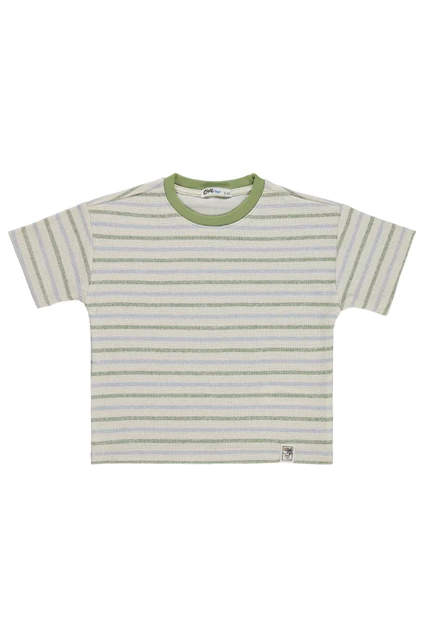 Erkek Çocuk Tişört 2-5 Yaş Mavi - Paket