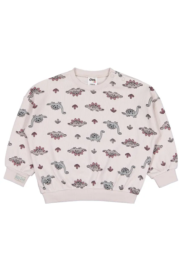 Bebek Sweatshirt 0-24 Ay Taş Rengi - Paket