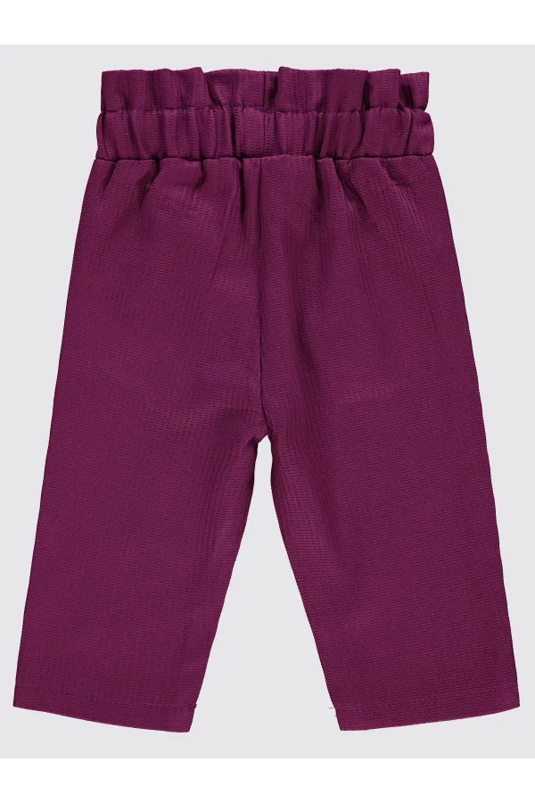 Culotte bébé 0-24 mois Aubergine Violet - Lot