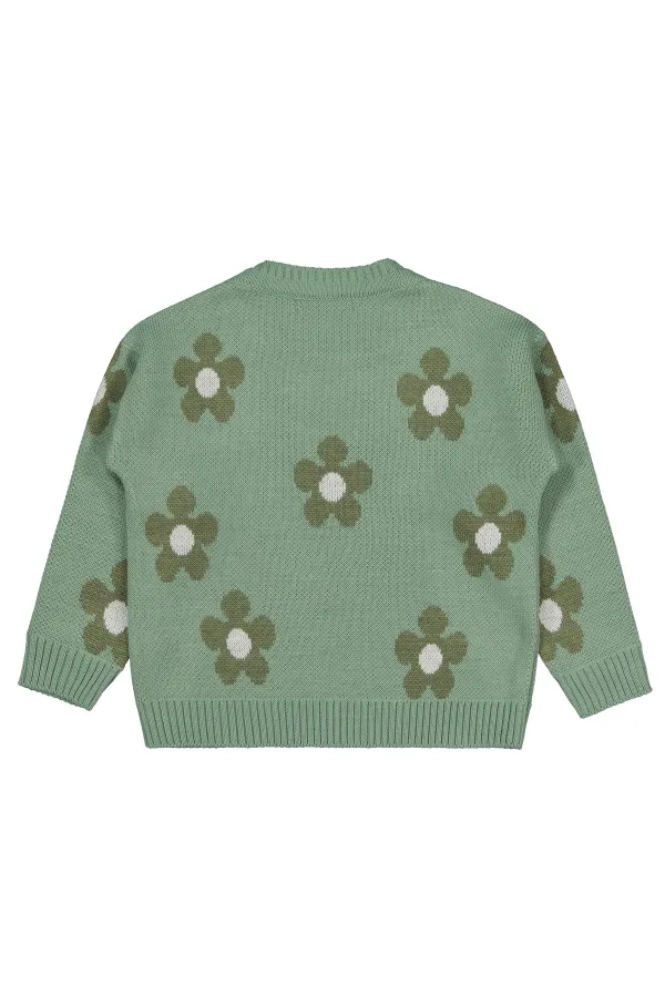 Girls Sweater 2-5 Years Khaki - Pack