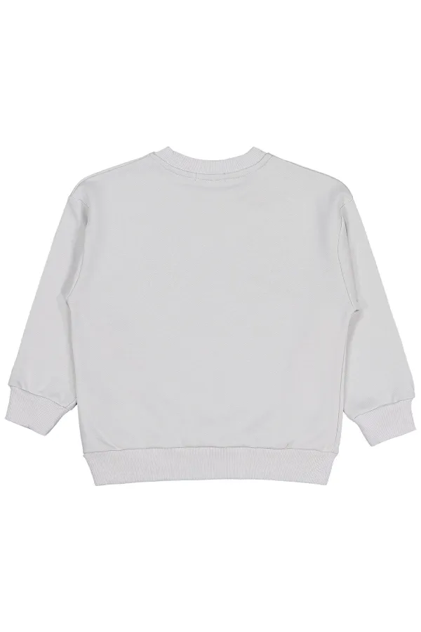 Erkek Çocuk Sweatshirt 6-9 Yaş Açık Gri - Paket