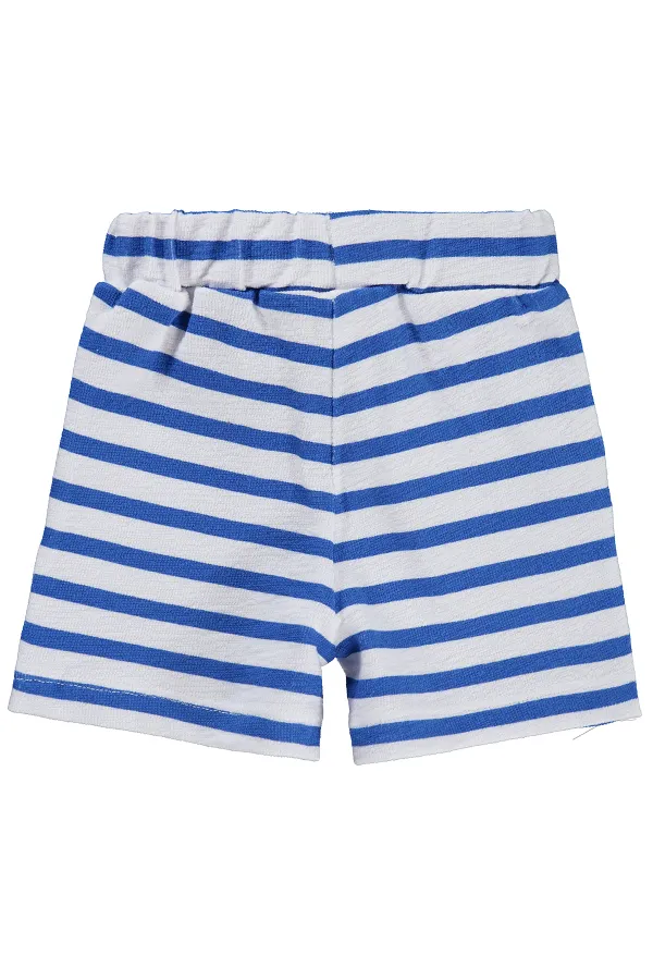 Bebek Şort 0-24 Ay Saks - Paket