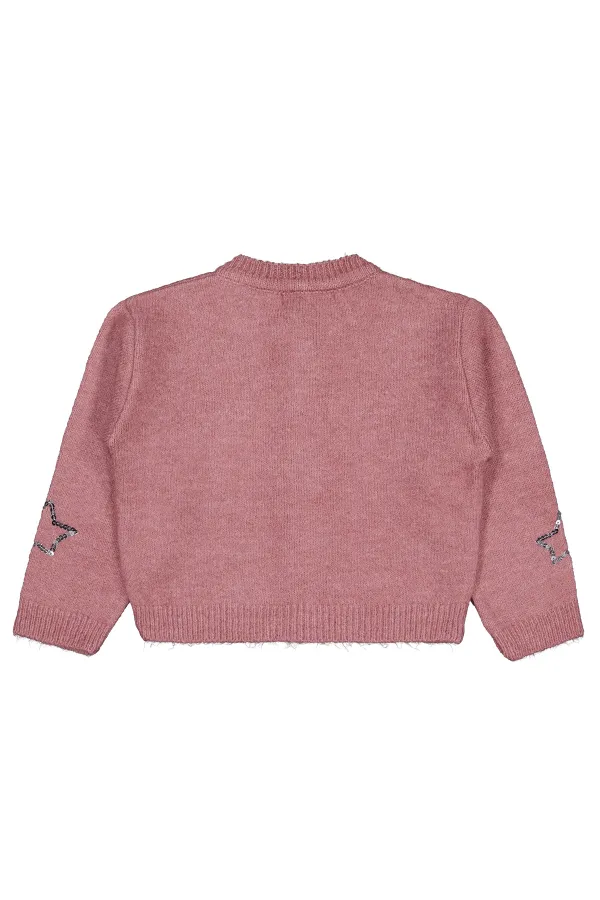 Kız Çocuk Hırka 2-5 Yaş Pembe - Paket