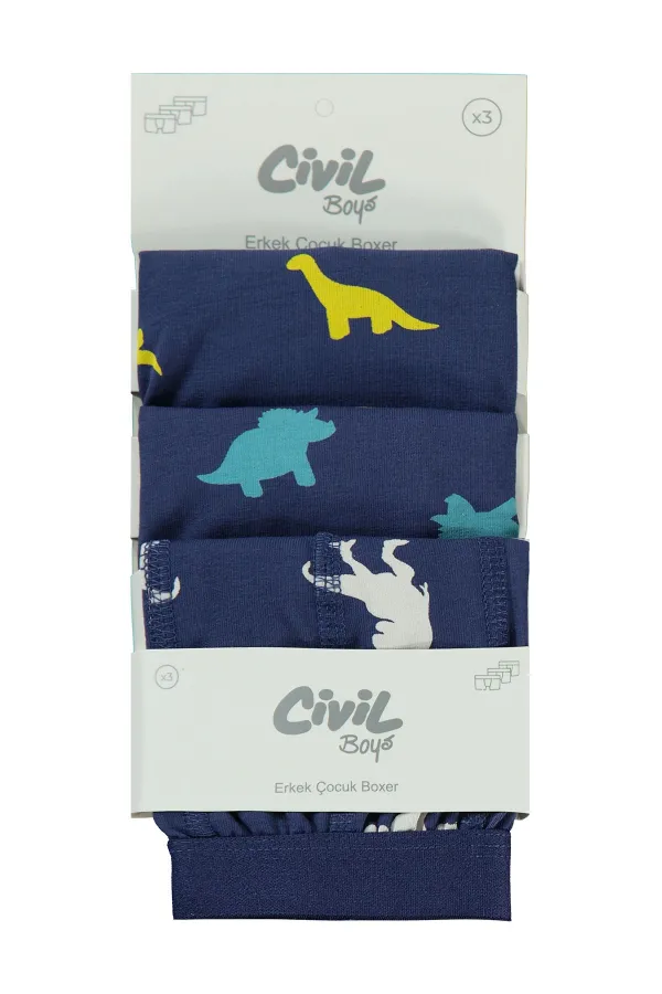 Erkek Çocuk Boxer 2-9 Yaş Standart - Paket