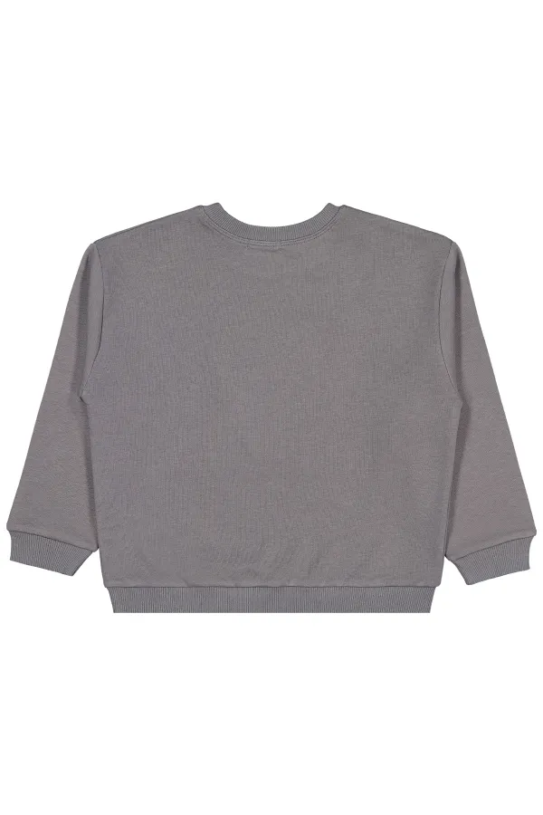 Erkek Çocuk Sweatshirt 6-9 Yaş Gri - Paket