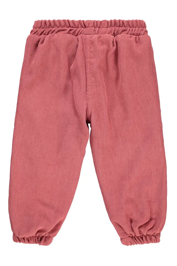 Girls Trousers 2-5 Years Old Powder - Package Girls Trousers 2-5 Years Old Powder - Package