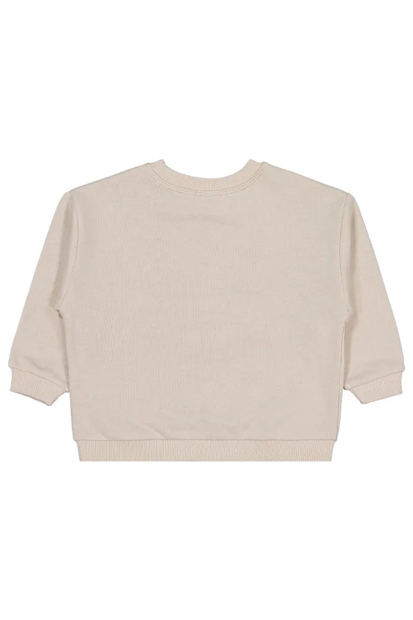 Erkek Çocuk Sweatshirt 2-5 Yaş Taş Rengi - Paket