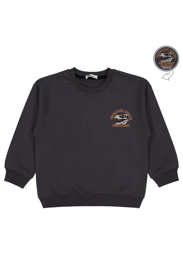 Erkek Çocuk Sweatshirt 6-9 Yaş Antrasit - Paket